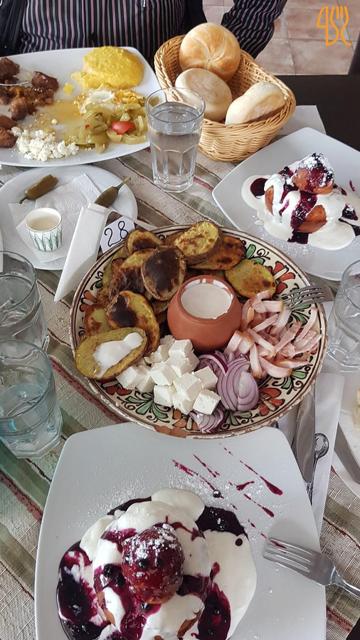 Alessia Star Arbore Nourriture