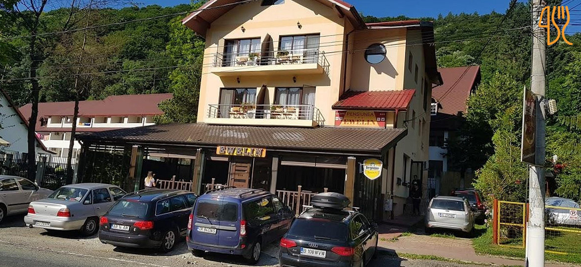 Pensiune Ewelin Exterior