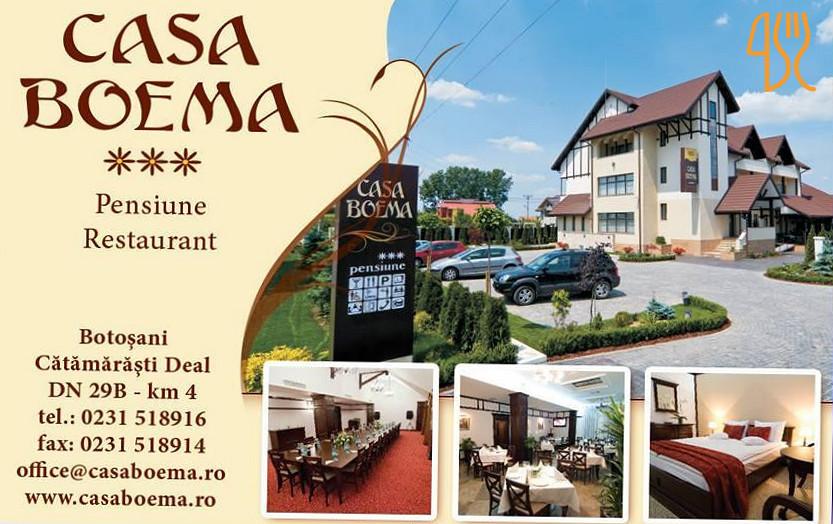 Pensiunea Casa Boema Botosani Exterior