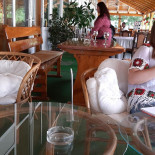 Melody În interior