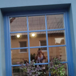 Pub U Medvěda Extérieur