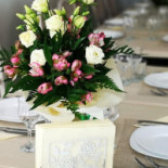 Casa Albă Adjud Boisson