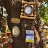 Excelentza Social Lounge Cardápio