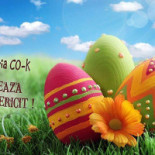 Co-k Pizza Place Extérieur