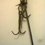 Plutitor Lebăda Boisson