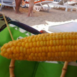 Taverna Capul Turcului Nourriture