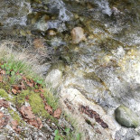 Complex Turistic Cheile Butii Extérieur