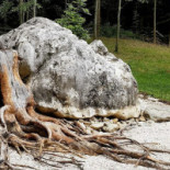 Complex Turistic Cheile Butii Extérieur