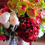 Grand Orient Boisson