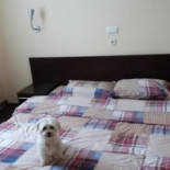 Cabana Muntele Roșu À l'intérieur