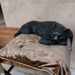 Dionis Love For Wine Boisson