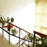 Casa Românească Haţeg Băutură