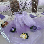 Hanul Aniței Bebida