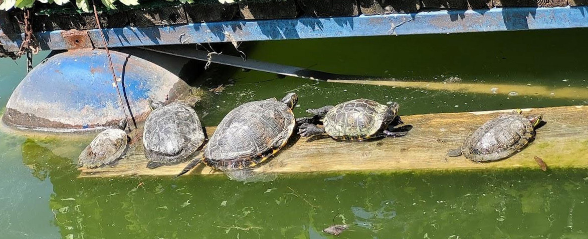 New Lac Exterior