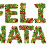 Domeniul Dracula Daneș Exterior