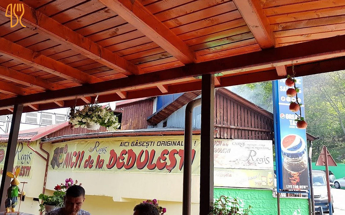Mici La Dedulesti Exterior