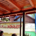 Mici La Dedulesti Exterior