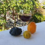 Butoiul Sasului Extérieur