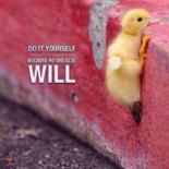 Facefood Romania Cardápio