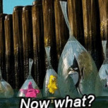 Facefood Romania Bebida