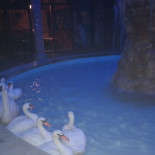 Georgia Spot Exterior