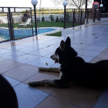 Complex Comercial Paradis Boisson