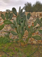 Il Classico Timisoara Exterior