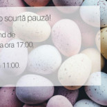 Picasso Delivery Boisson