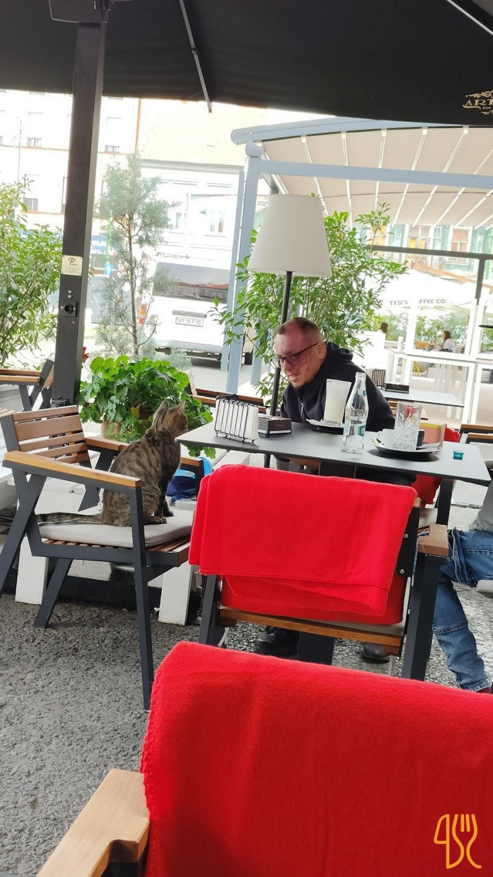 Art Cafe Gallery În interior