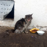 Cafenea Birsoghe Băutură
