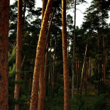 Casa Campeanu Extérieur