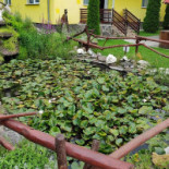 Caprioara Extérieur