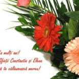 Taverna Dogarilor Boisson