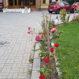 Floare De Colt Exterior