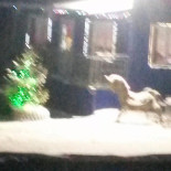 Caredy Kitchen Faleza Extérieur