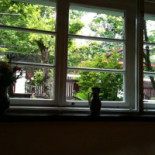 Roata À l'intérieur