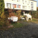 Bistro Olimp Extérieur