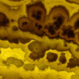 Syndicate Lounge Nourriture