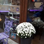 Lavander Cafe Dentro