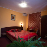 Pensiunea Sapte În interior