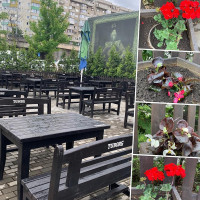 Gold Events And Festivals Outside