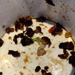 Salad Box Nourriture