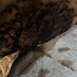 Mona Pizza Băutură