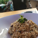 Restaurant Polo Comida