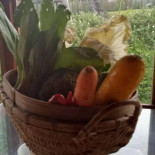 Mozart Café Boisson