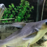 Beer Wall Café Boisson