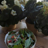 Salad Box Dorobantilor Băutură