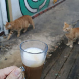 Miau Drink