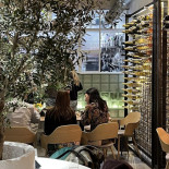 Molf Deli Vinutz À l'intérieur