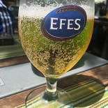 Dines Parcul Carol Boisson